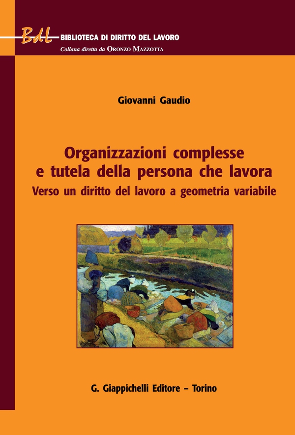 Organizzazioni complesse e tutela della persona che lavora - e-Book - Librerie.coop Organizzazioni complesse e tutela della persona che lavora - e-Book - Librerie.coop