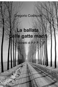 La ballata delle gatte madri - Librerie.coop
