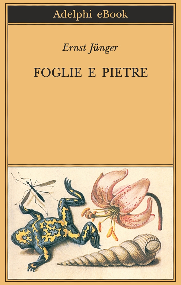 Foglie e pietre - Librerie.coop Foglie e pietre - Librerie.coop