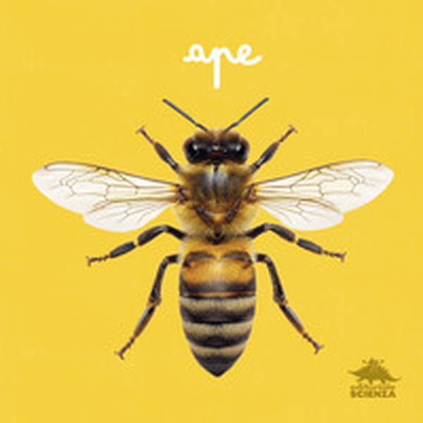Ape. Primi libri fotografici per osservare la natura da vicino! - Librerie.coop