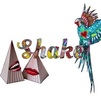 Che collage sia! Shake it up. Ediz. italiana e inglese - Librerie.coop