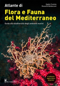 Atlante di flora e fauna del Mediterraneo. Guida alla biodiversità degli ambienti marini - Librerie.coop