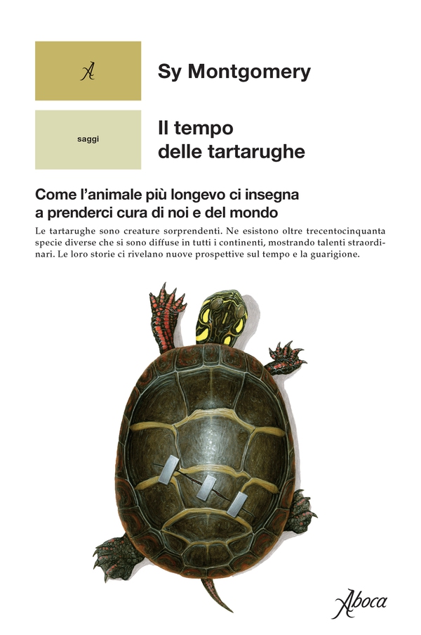 Il tempo delle tartarughe - Librerie.coop Il tempo delle tartarughe - Librerie.coop