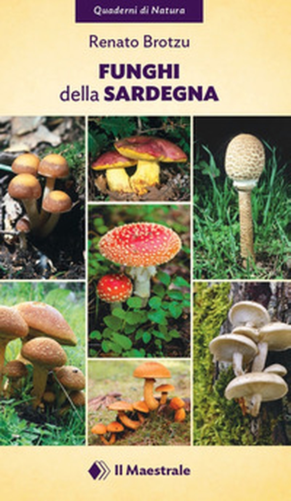 Funghi della Sardegna - Librerie.coop