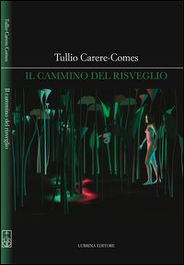 Il cammino del risveglio - Librerie.coop Il cammino del risveglio - Librerie.coop