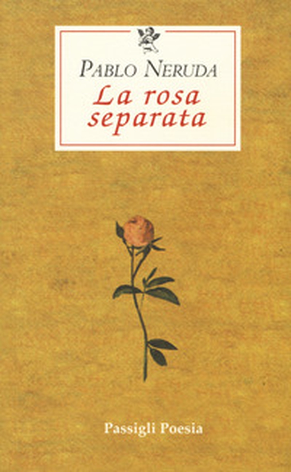 La rosa separata. Testo spagnolo a fronte - Librerie.coop La rosa separata. Testo spagnolo a fronte - Librerie.coop