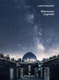 Loris Cecchini. Waterbones (nightfall). Ediz. italiana e inglese - Librerie.coop