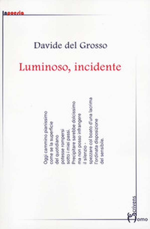 Luminoso, incidente - Librerie.coop Luminoso, incidente - Librerie.coop