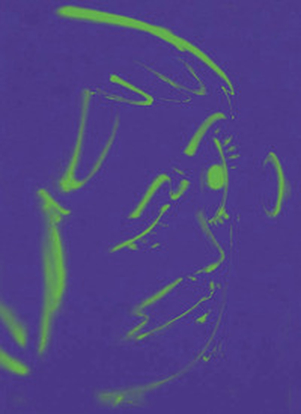 Hoda Kashiha: slipping on fragmented shapes. Ediz. inglese e francese - Librerie.coop