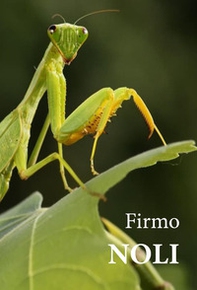 Noli - Librerie.coop