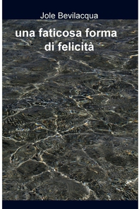 una faticosa forma di felicità - Librerie.coop