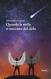 Quando le stelle si staccano dal cielo - Librerie.coop