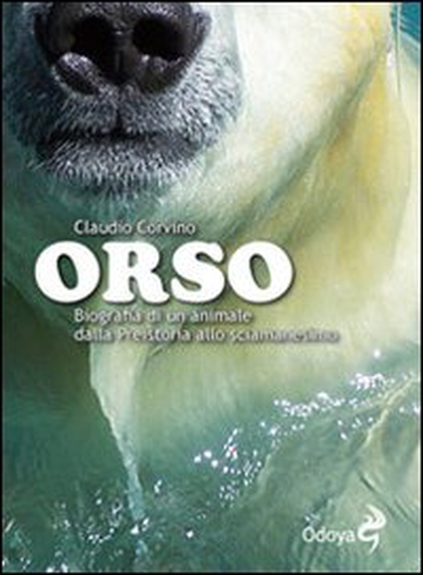 Orso. Biografia di un animale dalla preistoria allo sciamanesimo - Librerie.coop Orso. Biografia di un animale dalla preistoria allo sciamanesimo - Librerie.coop