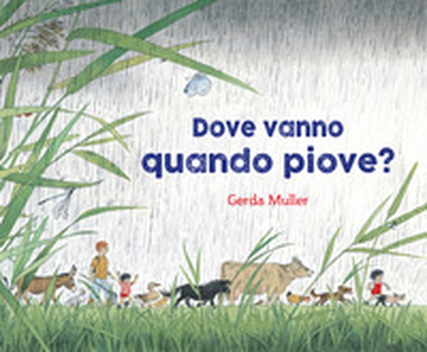 Dove vanno quando piove? - Librerie.coop Dove vanno quando piove? - Librerie.coop