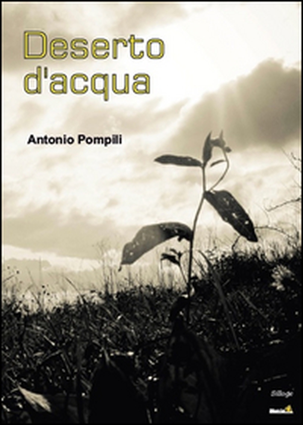 Deserto d'acqua - Librerie.coop