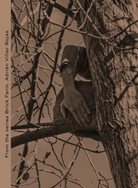 Adrián Villar Rojas. From the series Brick Farm - Librerie.coop