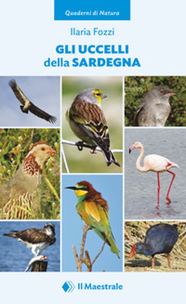 Gli uccelli della Sardegna - Librerie.coop Gli uccelli della Sardegna - Librerie.coop