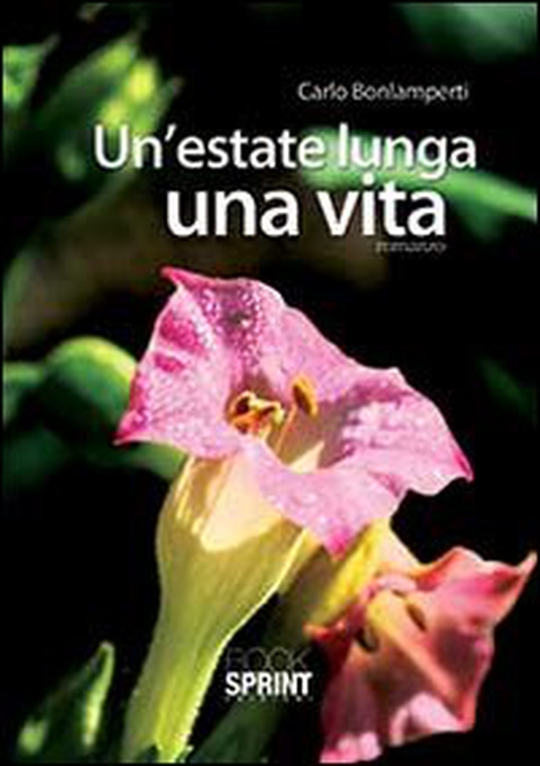 Un'estate lunga una vita - Librerie.coop Un'estate lunga una vita - Librerie.coop