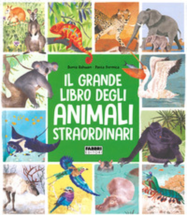 Il grande libro degli animali straordinari - Librerie.coop Il grande libro degli animali straordinari - Librerie.coop