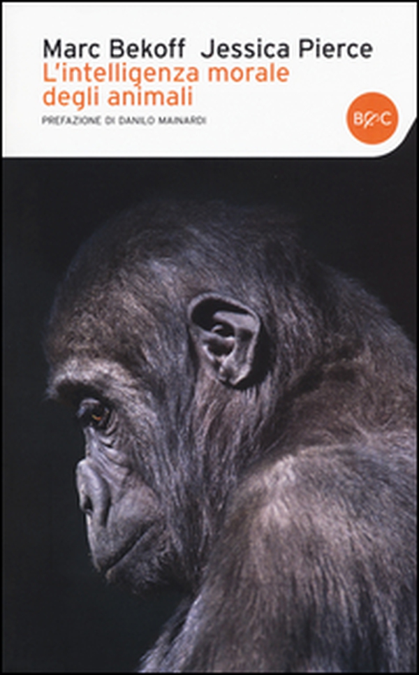 L'intelligenza morale degli animali - Librerie.coop L'intelligenza morale degli animali - Librerie.coop
