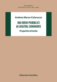 Dai beni pubblici ai digital commons. Prospettive di tutela - Librerie.coop