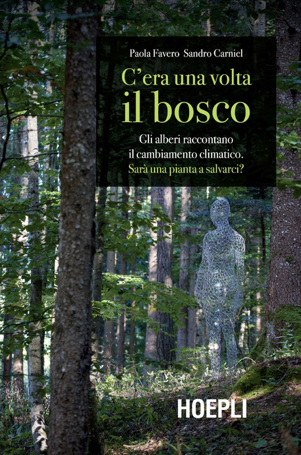 C'era una volta il bosco - Librerie.coop C'era una volta il bosco - Librerie.coop