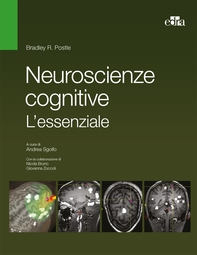 Neuroscienze cognitive. L'essenziale - Librerie.coop