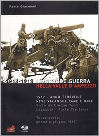 La grande guerra nella valle d'Ampezzo - Vol. 3 - Librerie.coop