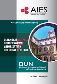 XIV convegno internazionale AIES 2023/2024. Diagnosis, conservation, valorization, cultural heritage - Librerie.coop