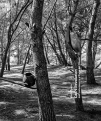 Capri-Revolution. Dall'Isola Azzurra al Parco del Cilento - Librerie.coop Capri-Revolution. Dall'Isola Azzurra al Parco del Cilento - Librerie.coop