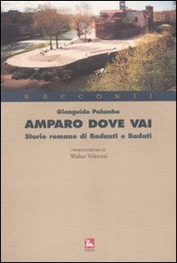Amparo dove vai. Storie romane di badanti e badati - Librerie.coop