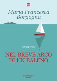 Nel breve arco di un baleno - Librerie.coop