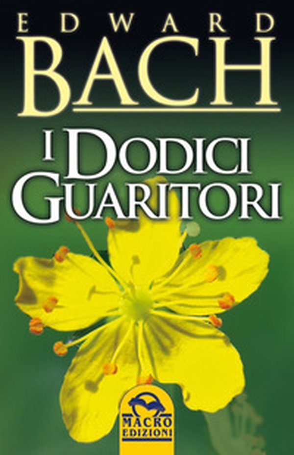 I dodici guaritori - Librerie.coop I dodici guaritori - Librerie.coop