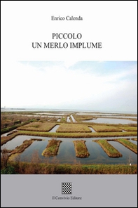 Piccolo un merlo implume - Librerie.coop