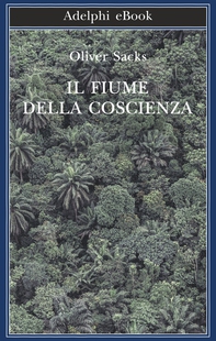 Il fiume della coscienza - Librerie.coop