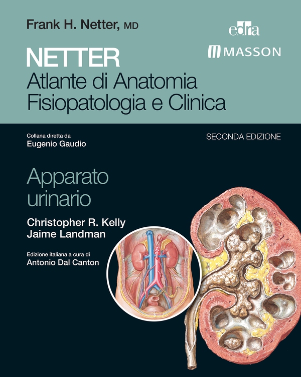 NETTER Atlante di anatomia fisiopatologia e clinica: Apparato Urinario - Librerie.coop
