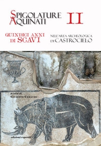 Spigolature Aquinati. Quindici anni di scavi nell'area archeologica di Castrocielo - Vol. 2 - Librerie.coop