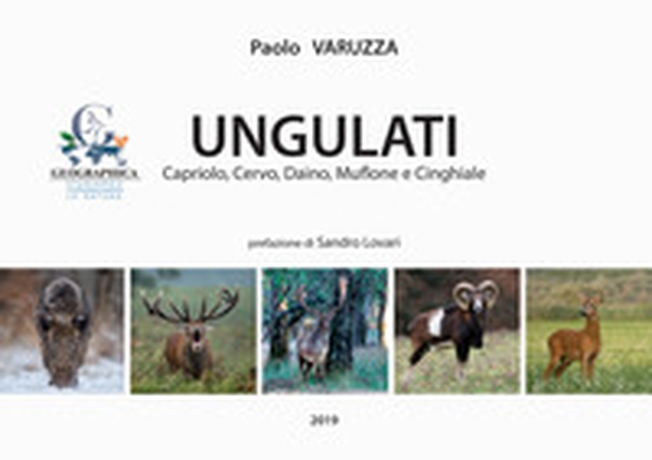 Ungulati. Capriolo, cervo, daino, muflone e cinghiale - Librerie.coop Ungulati. Capriolo, cervo, daino, muflone e cinghiale - Librerie.coop