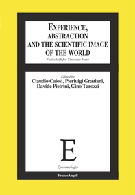 Experience, Abstraction and the Scientific Image of the World - Librerie.coop Experience, Abstraction and the Scientific Image of the World - Librerie.coop