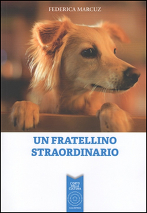 Un fratellino straordinario - Librerie.coop Un fratellino straordinario - Librerie.coop