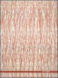 Ghada Amer. Catalogo della mostra (Roma, 25 maggio-30 settembre 2007). Ediz. italiana e inglese - Librerie.coop