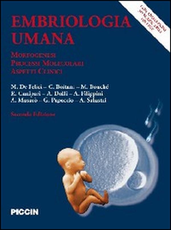 Embriologia umana. Morfogenesi, processi molecolari, aspetti clinici - Librerie.coop Embriologia umana. Morfogenesi, processi molecolari, aspetti clinici - Librerie.coop