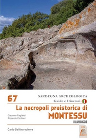 Necropoli preistorica di Montessu - Librerie.coop