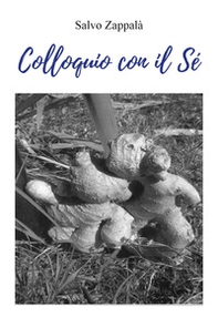 Colloquio con il sé - Librerie.coop