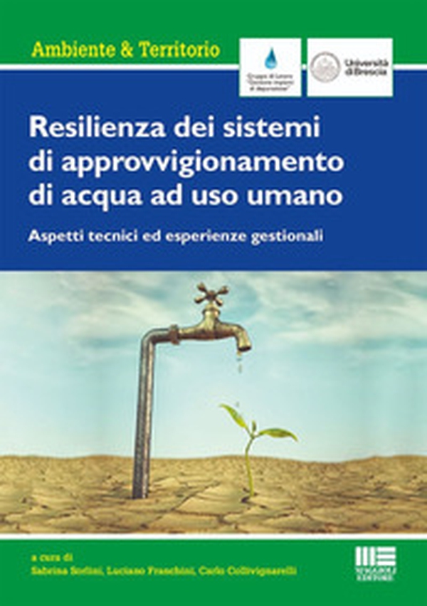 Resilienza dei sistemi di approvvigionamento di acqua ad uso umano. Aspetti tecnici ed esperienze gestionali - Librerie.coop