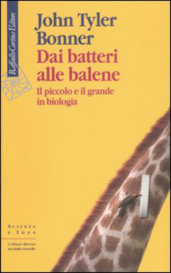 Dai batteri alle balene. Il piccolo e il grande in biologia - Librerie.coop Dai batteri alle balene. Il piccolo e il grande in biologia - Librerie.coop