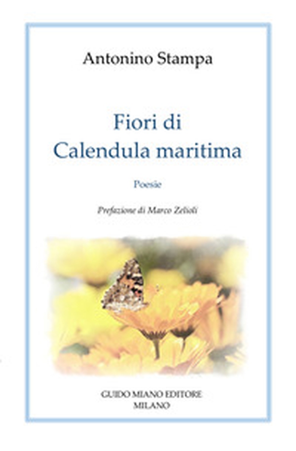 Fiori di Calendula Maritima - Librerie.coop Fiori di Calendula Maritima - Librerie.coop