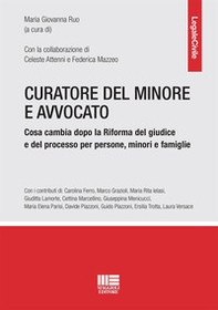 Curatore del minore e avvocato. Cosa cambia dopo la riforma del giudice e del processo per persone, minori e famiglie - Librerie.coop Curatore del minore e avvocato. Cosa cambia dopo la riforma del giudice e del processo per persone, minori e famiglie - Librerie.coop