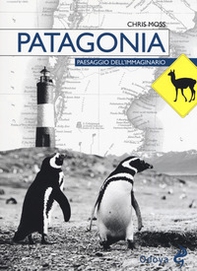 Patagonia. Paesaggio dell'immaginario - Librerie.coop