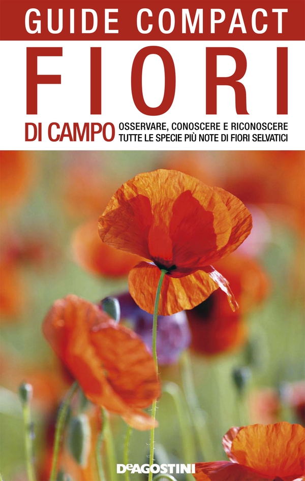 Fiori di campo. Osservare, conoscere e riconoscere tutte le specie più note di fiori selvatici - Librerie.coop Fiori di campo. Osservare, conoscere e riconoscere tutte le specie più note di fiori selvatici - Librerie.coop